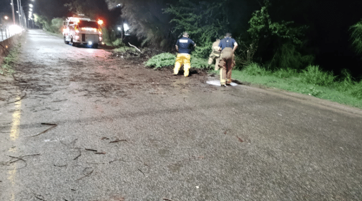 Lluvia causa caída de postes, árboles y deja sin energía eléctrica a varios poblados en Angostura