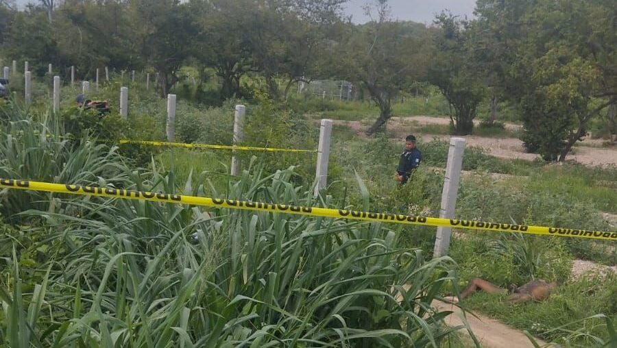 Localizan hombre sin vida en carretera El Rosario - Matatán