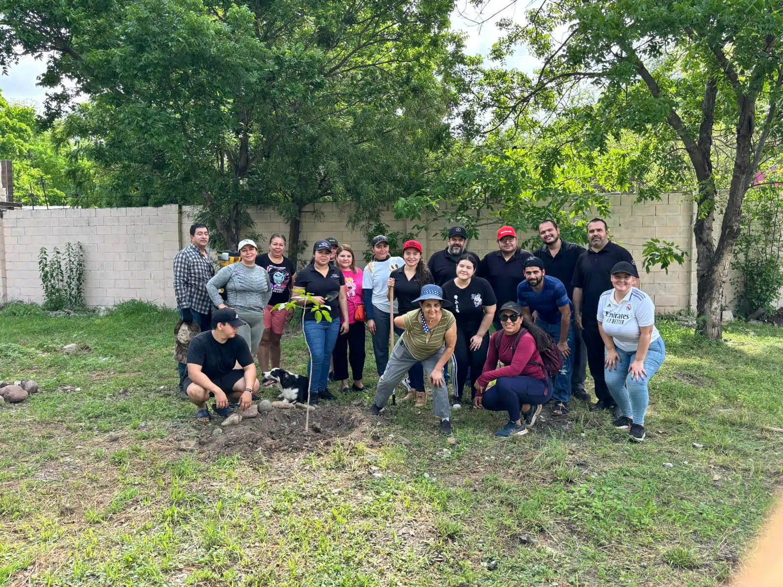 Plantado de árboles en diferentes parques públicos de Culiacán