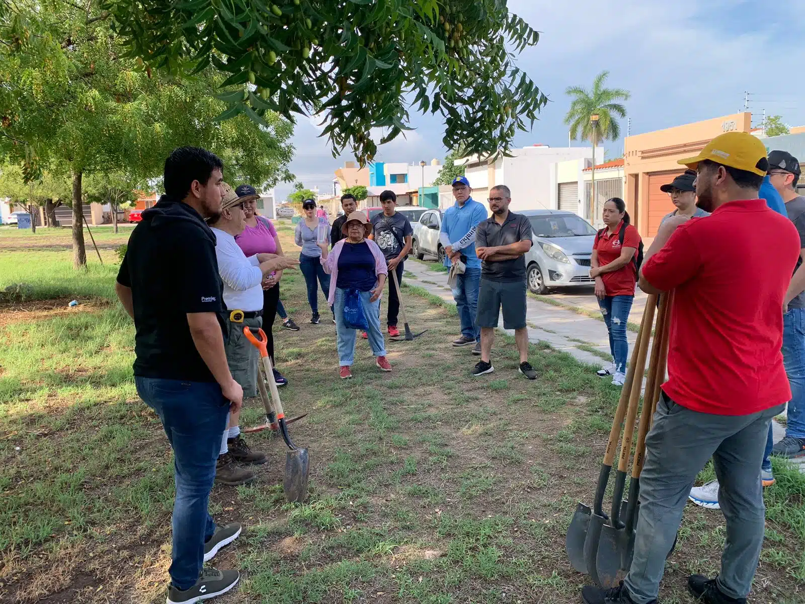 Plantado de árboles en diferentes parques públicos de Culiacán