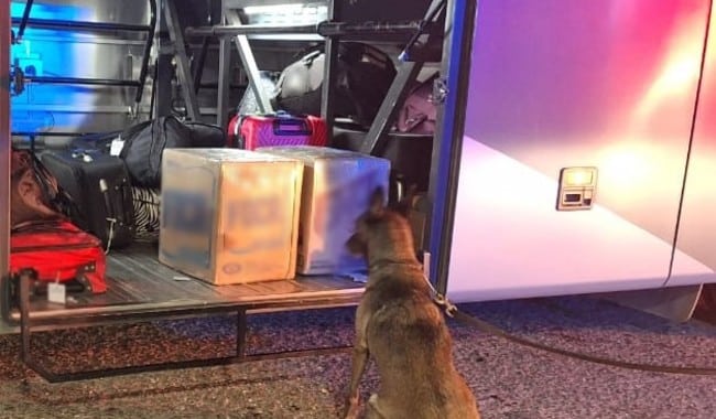 Perro de la Guardia Nacional con paquete lleno de droga