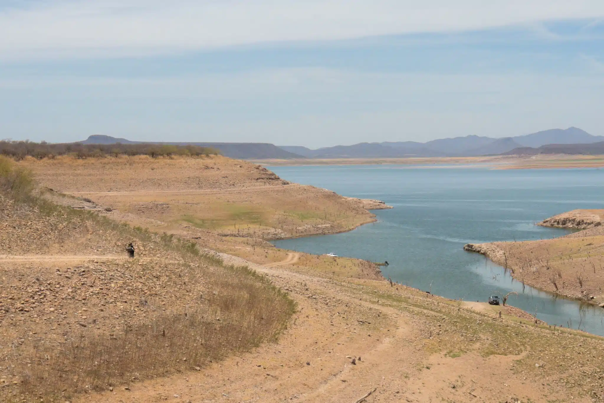 Entre los factores de la muerte están: alta turbiedad, arcilla y choque térmico en el agua que desemboca en la infraestructura hidráulica