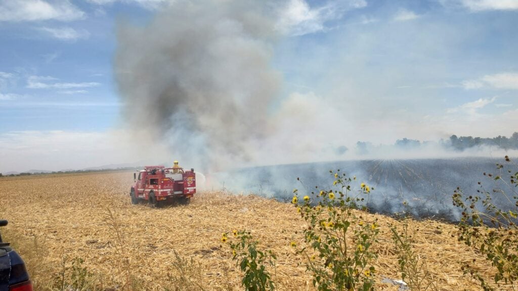 Bomberos combatiendo un incendio por quema de soca en Angostura