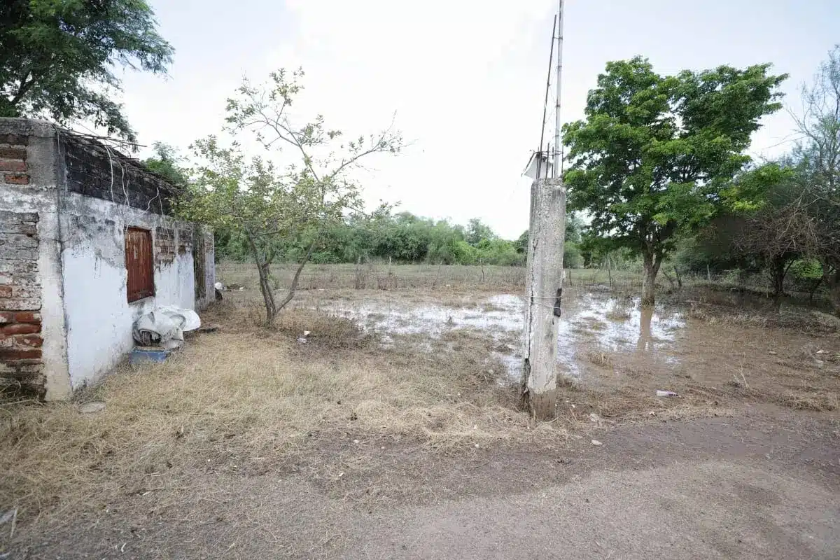 Charcos de agua en San Marcial, comunidad de Guasave