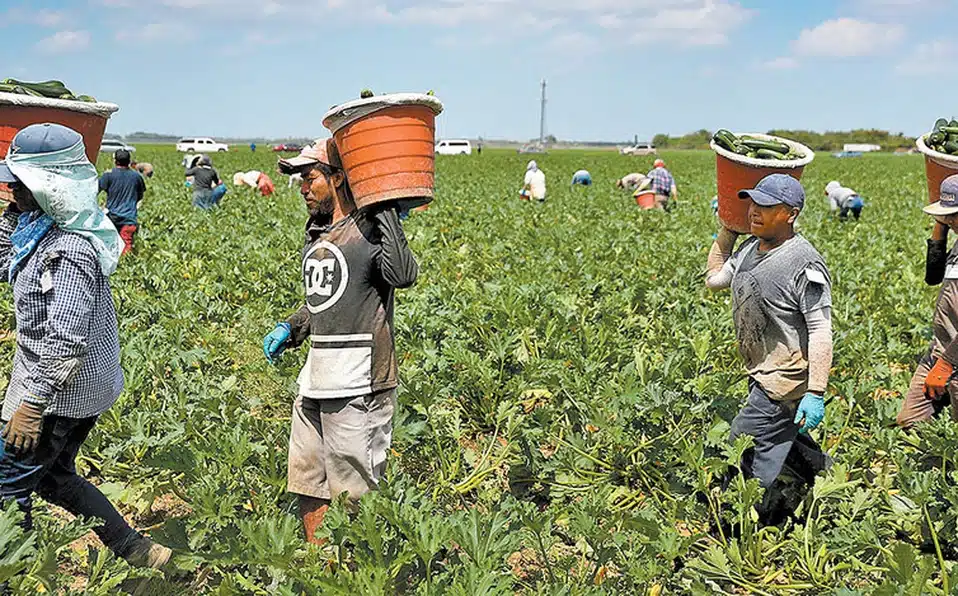 Trabajadores mexicanos en EU