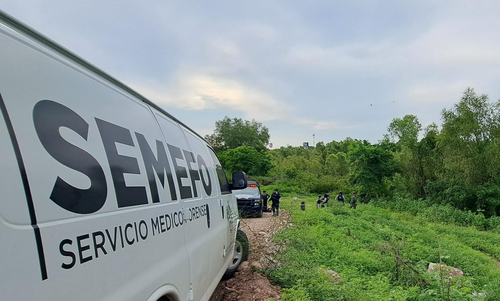 Triple homicidio se registra en el municipio de Elota