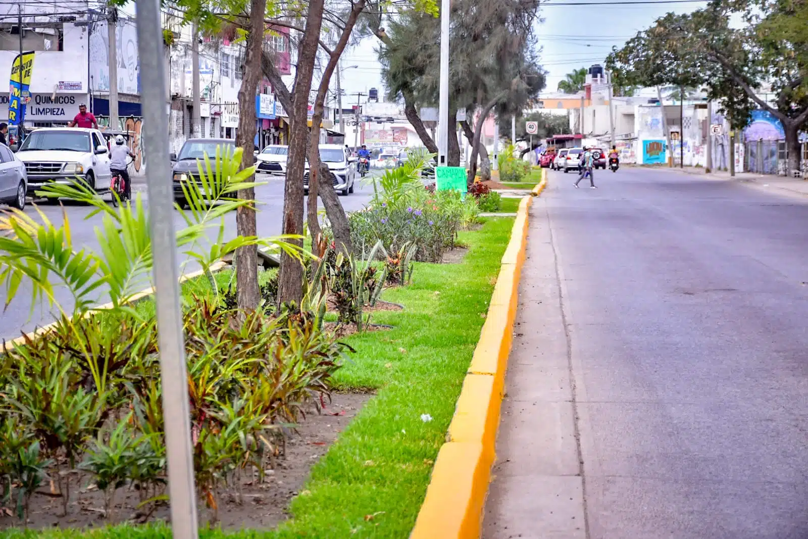 Karla Angélica Camacho Guzmán, directora de Servicios Públicos municipales, afirmó que han comprado algunas plantas para darle color a las zonas rescatadas
