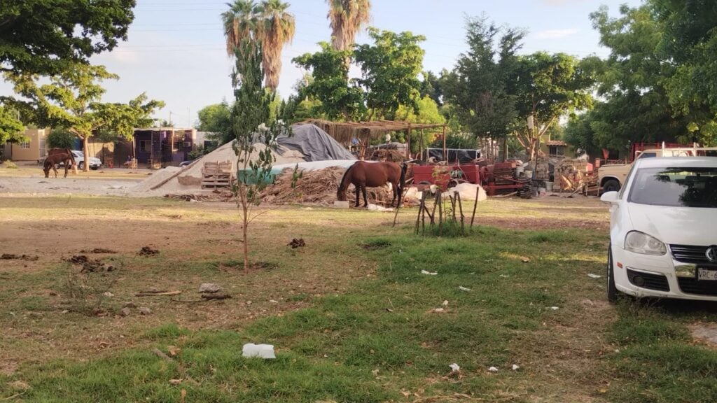 área verde de fraccionamiento de Los Mochis