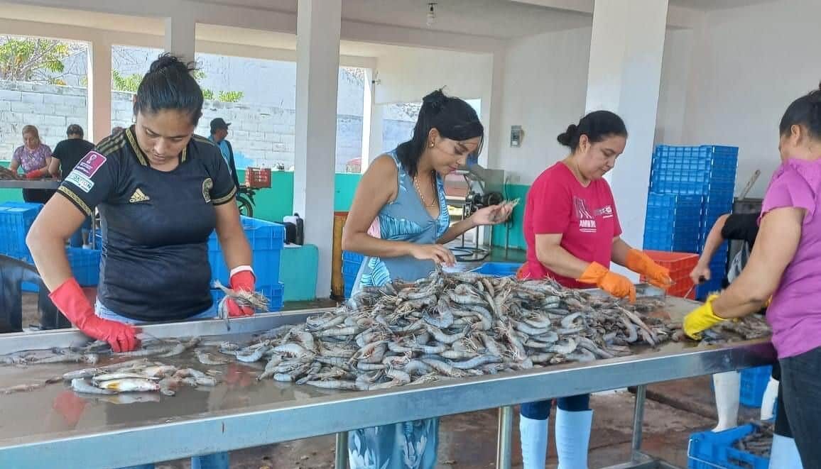 Trabajadoras del mar