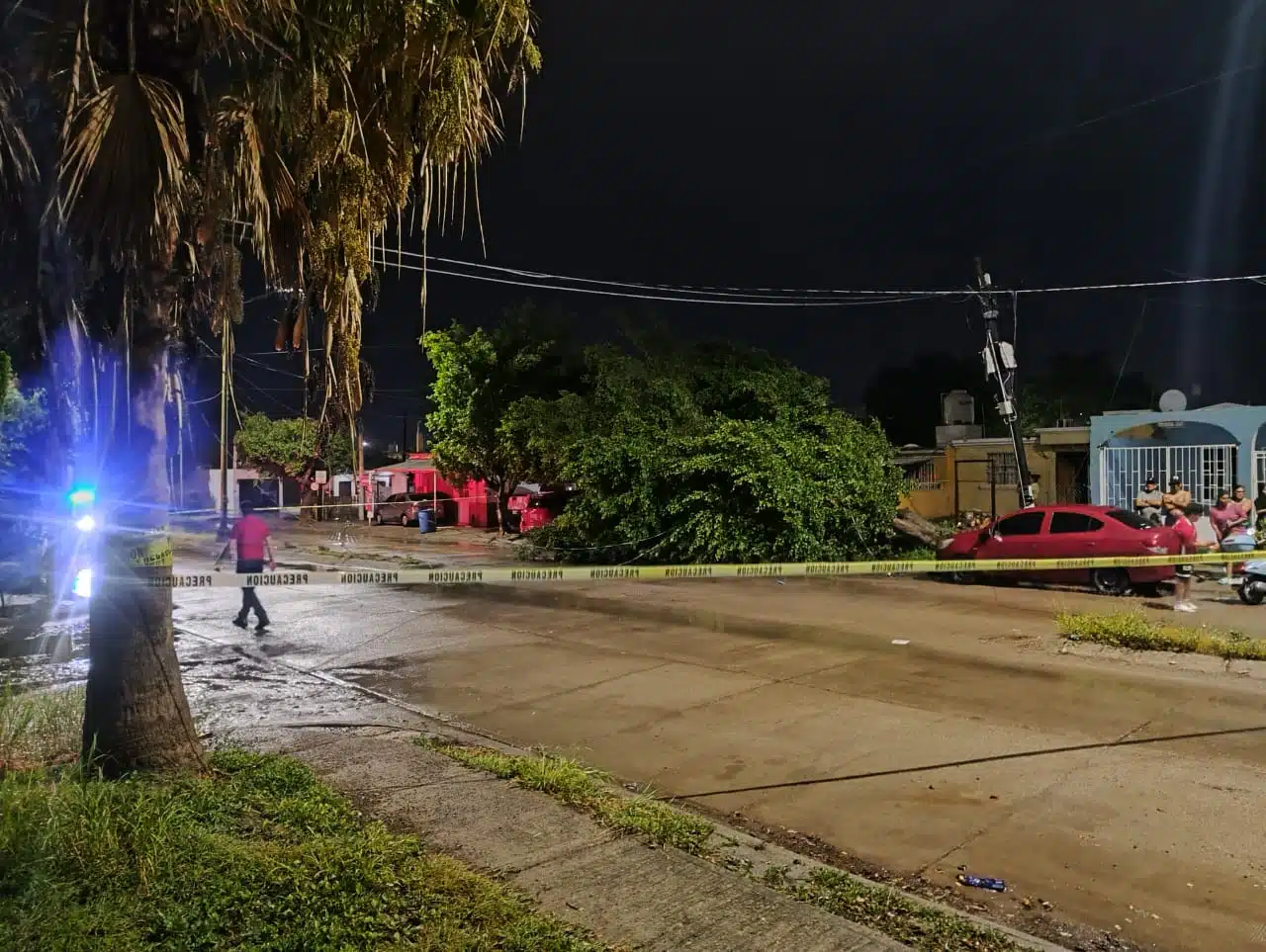 Zona delimitada en Mazatlán donde se encuentra árbol tirado