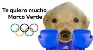 Meme de Marco Verde en las Olimpiadas de París