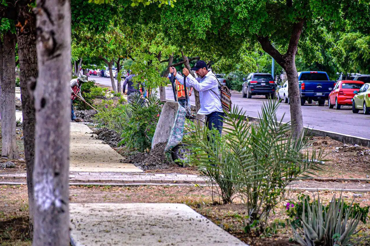 restauración venados mazatlan