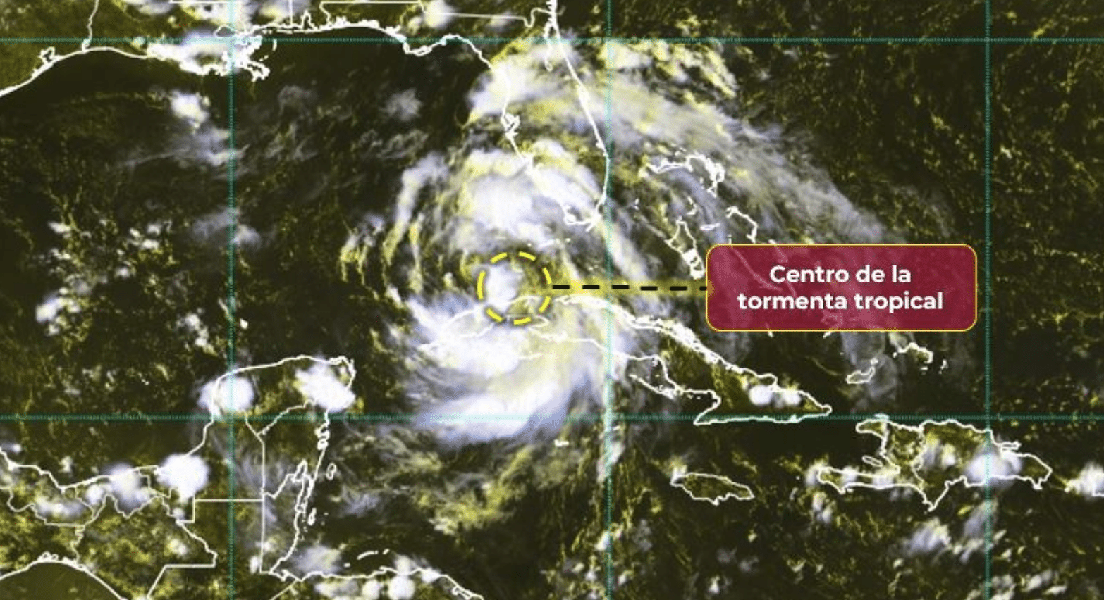 Imagen satelital de la tormenta Debby en el Golfo de México