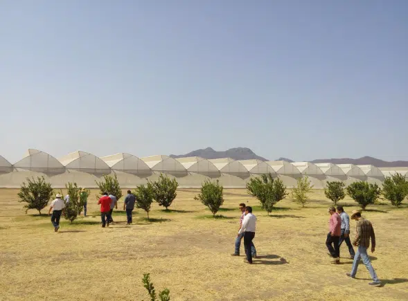 Canaco Évora busca apoyo estatal para la construcción de un parque agroindustrial