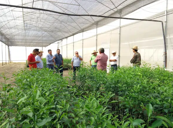 Canaco Évora busca apoyo estatal para la construcción de un parque agroindustrial