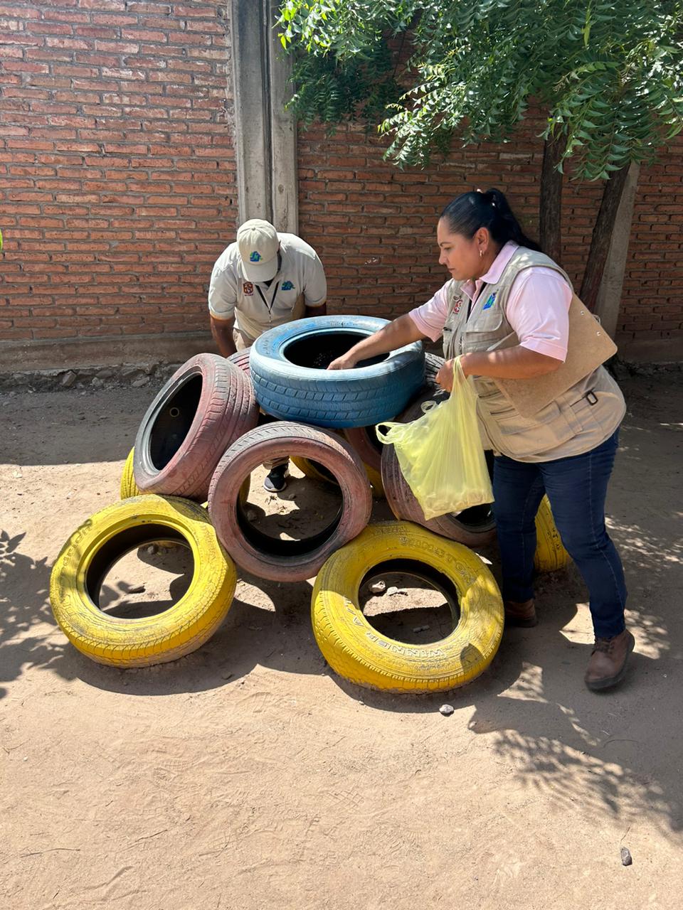 Acciones contra el dengue