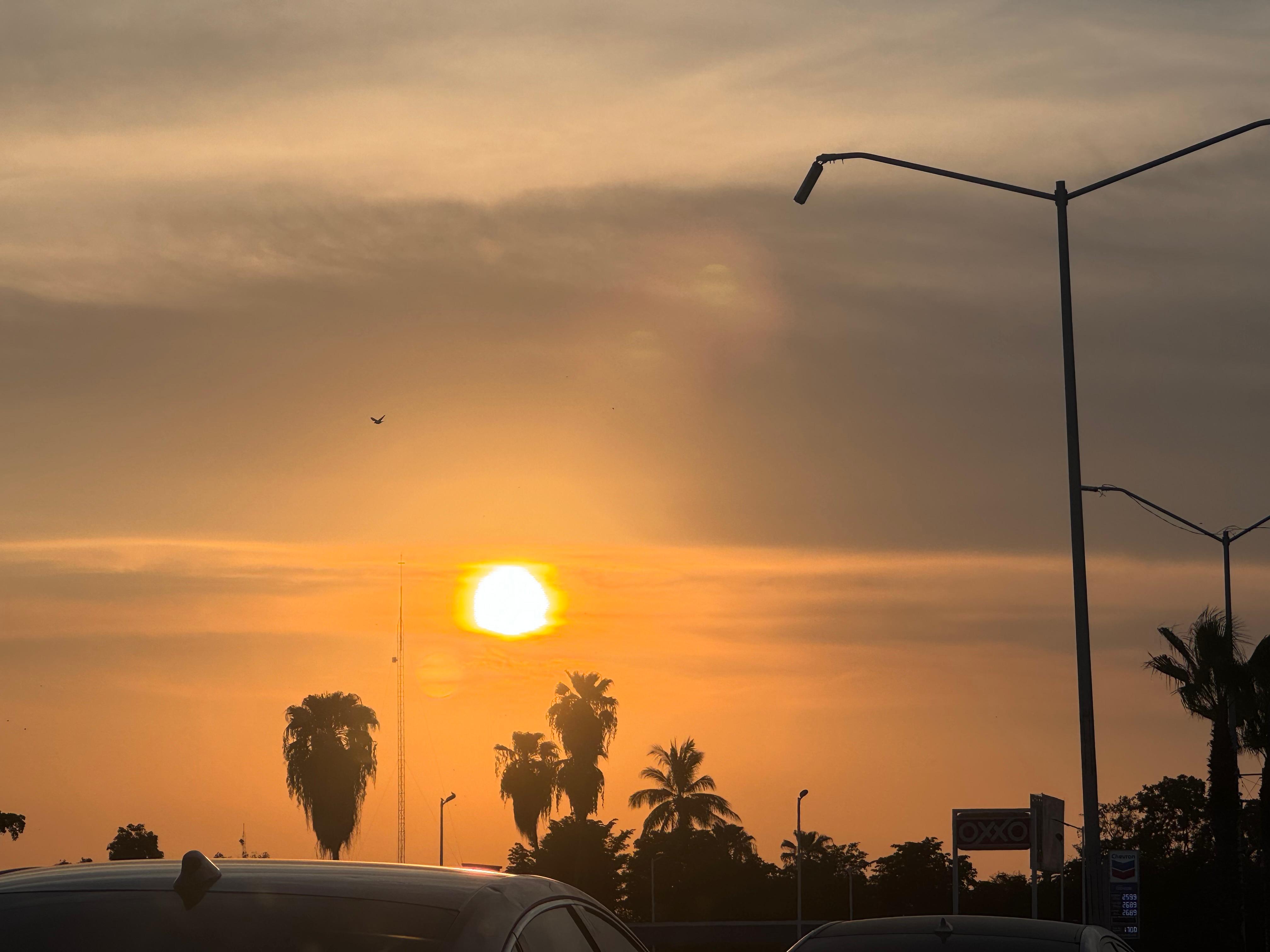 Tarde soleada en una ciudad con palmeras a contraluz