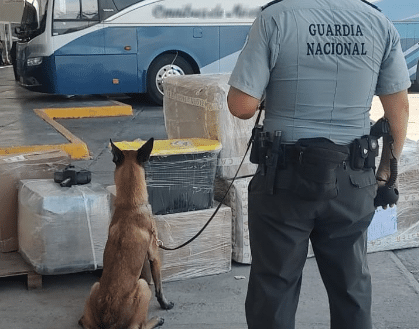 Perros de la Guardia con droga decomisada