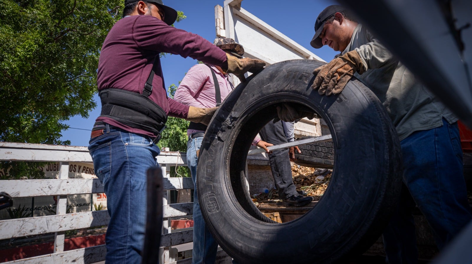 Casos de dengue aumentan en colonia de Guasave