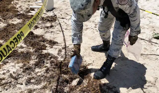 Cocaína entre el sargazo