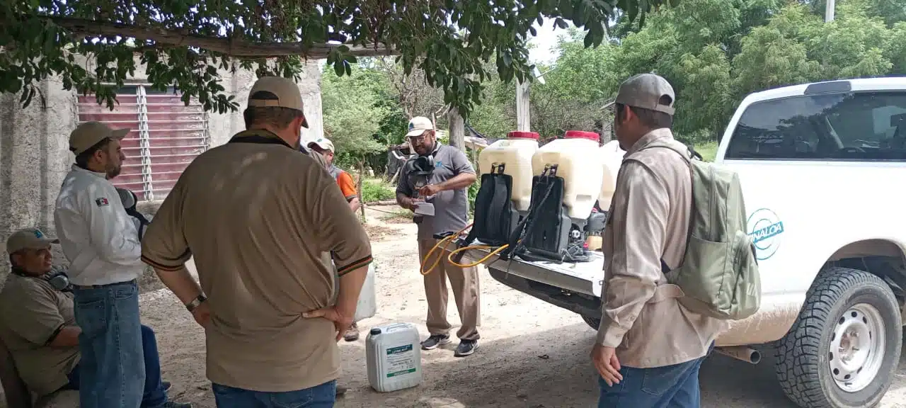 En crecimiento el dengue en en Évora van 20 casos