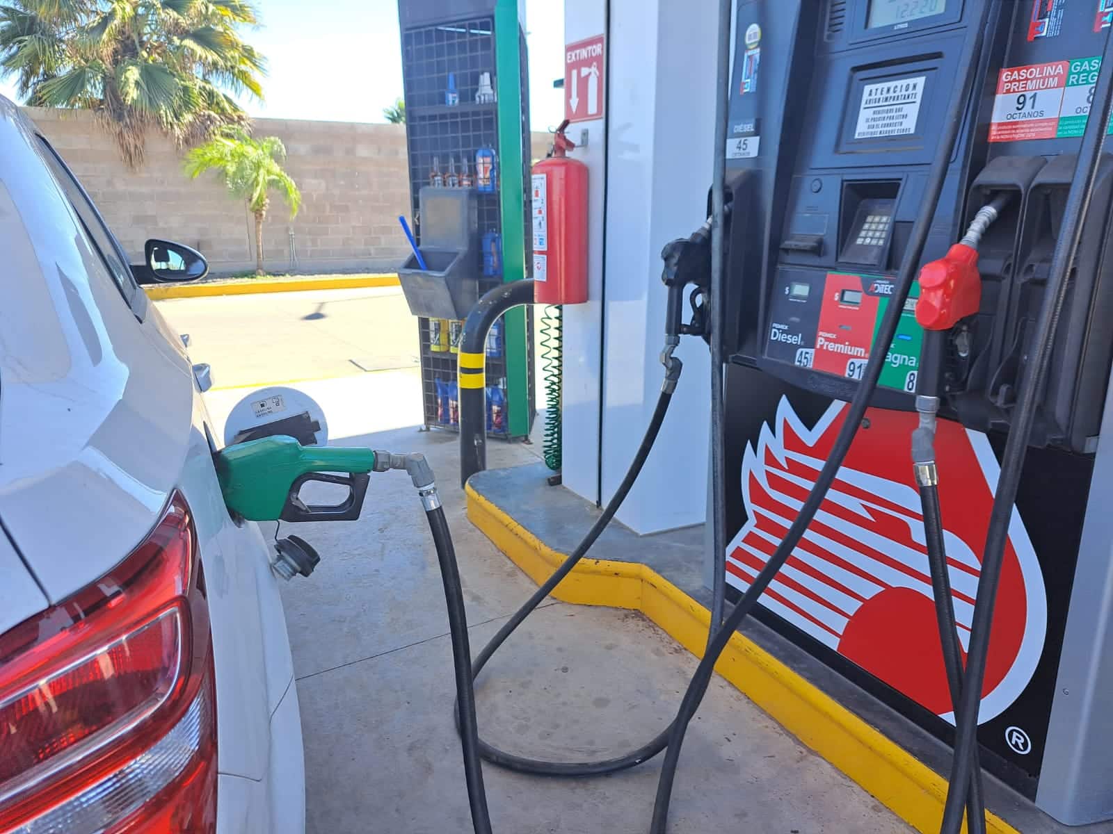 Manguera color verde dispensadora de gasolina en la boca del tanque de un carro en una estación de gasolina
