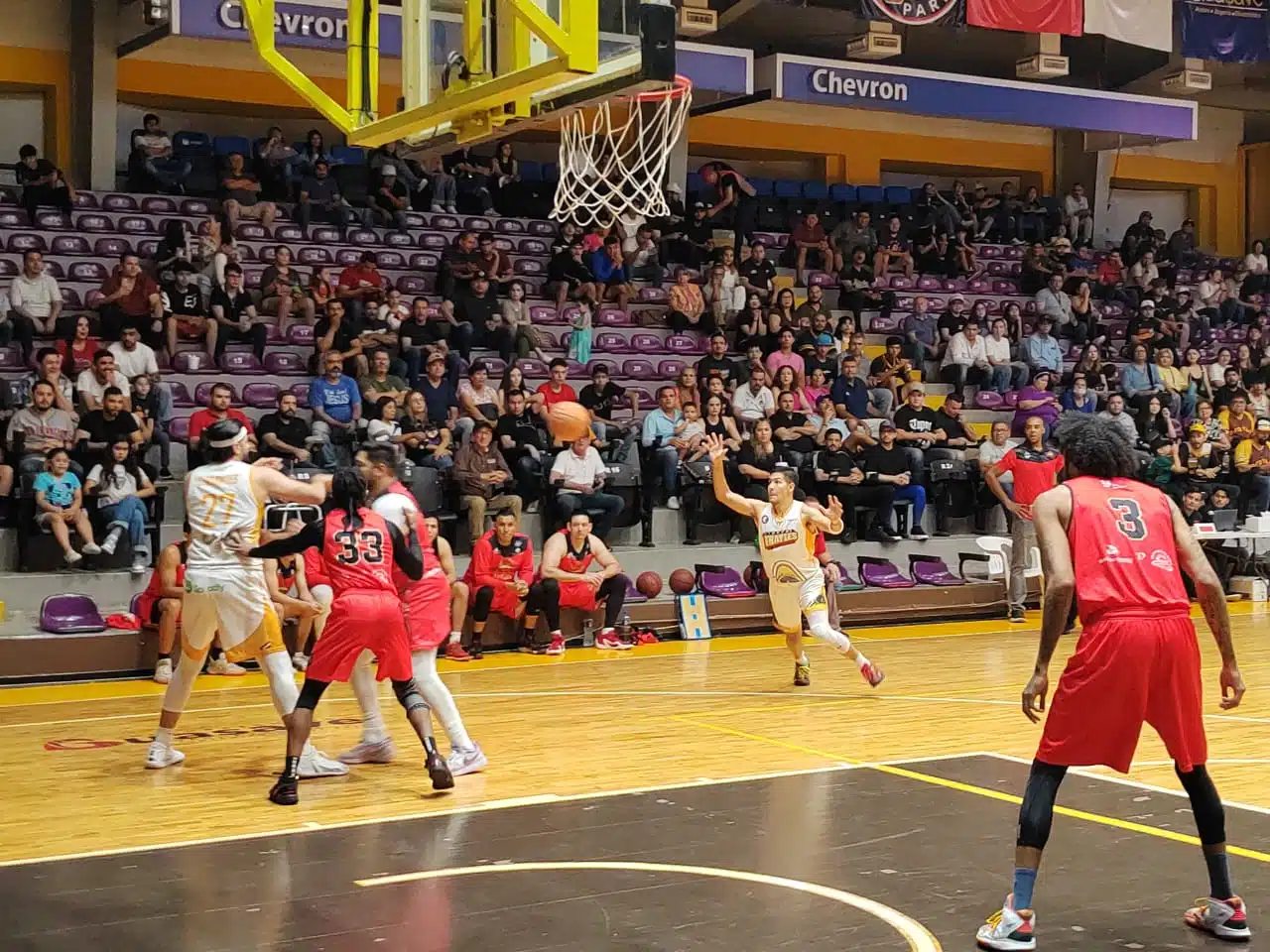 Frayles de Guasave se convierte en el primer finalista nacional del Cibapac