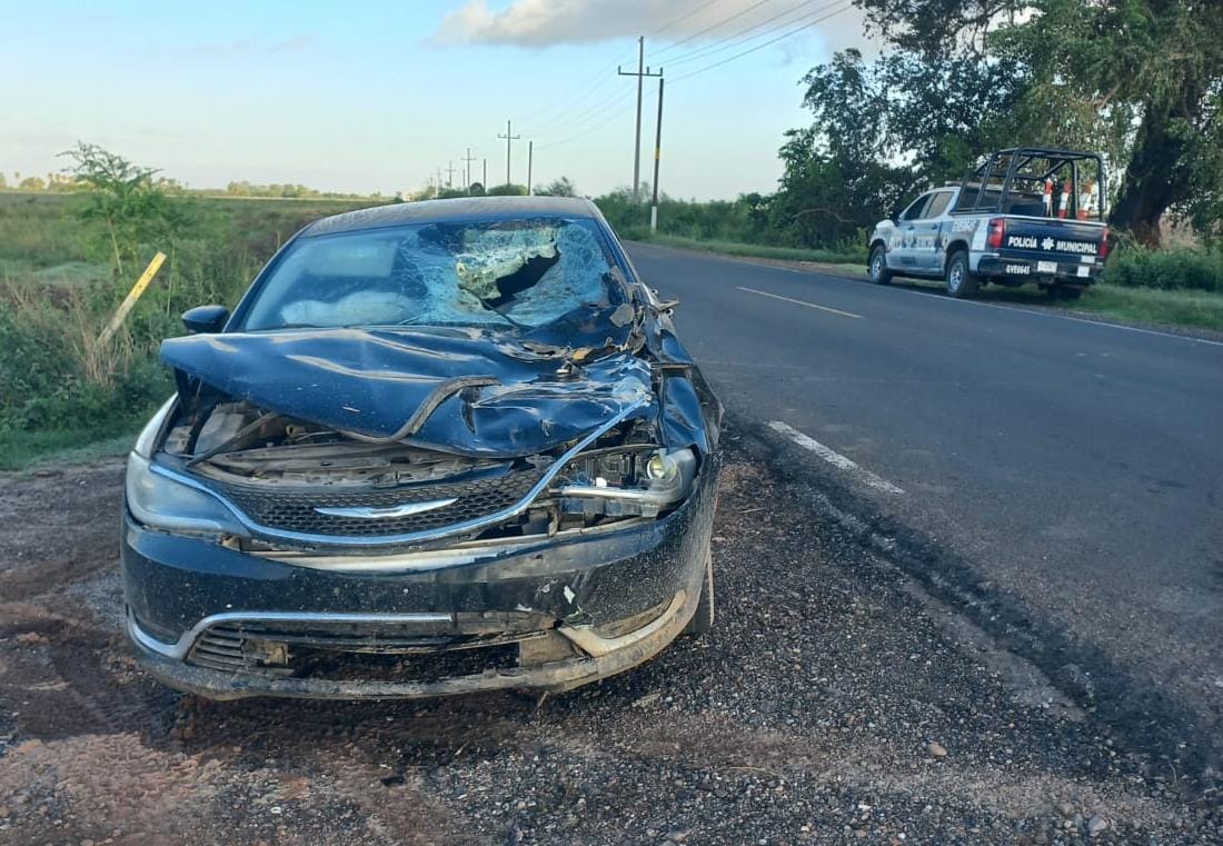 Fuerte choque protagonizó un hombre al impactarse contra un caballo