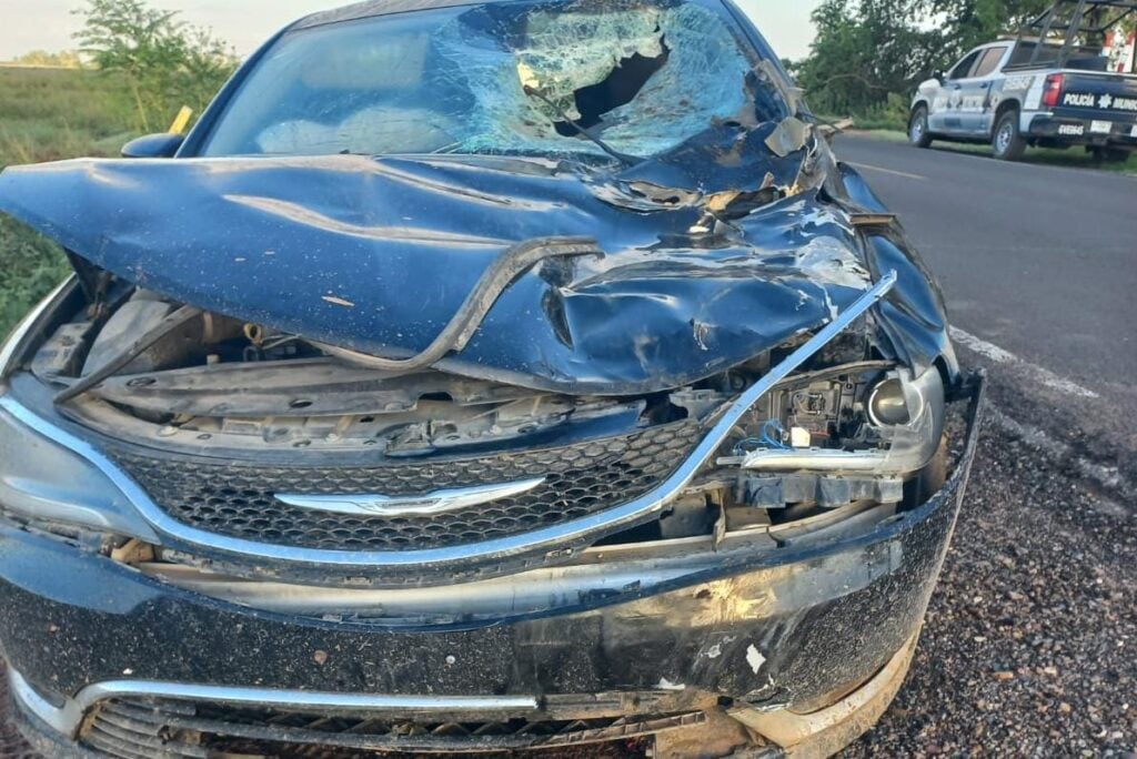 Fuerte choque protagonizó un hombre al impactarse contra un caballo