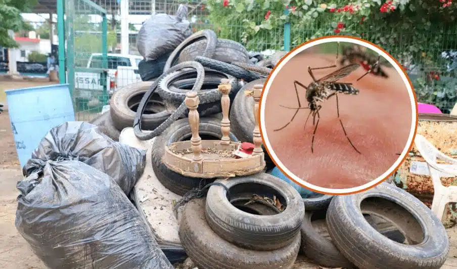 Basura y llantas / mosco aedes aegypti