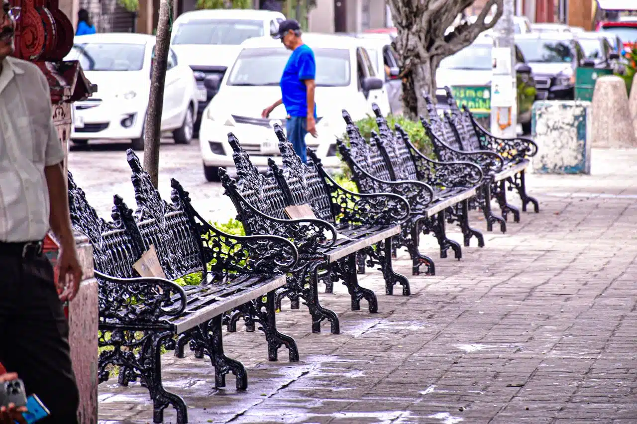 Manita de gato a plazuela República centro de Mazatlán