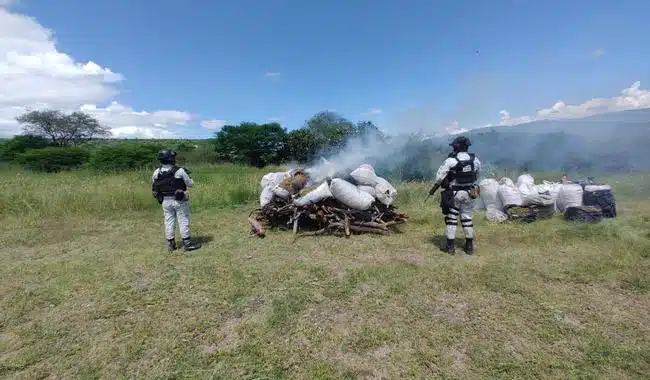 Mariguana quemada por la Guardia Nacional