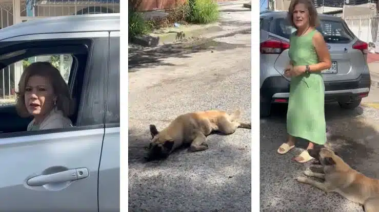 Mujer arrastra a perro con su camioneta en Tlaquepaque; desata indignación