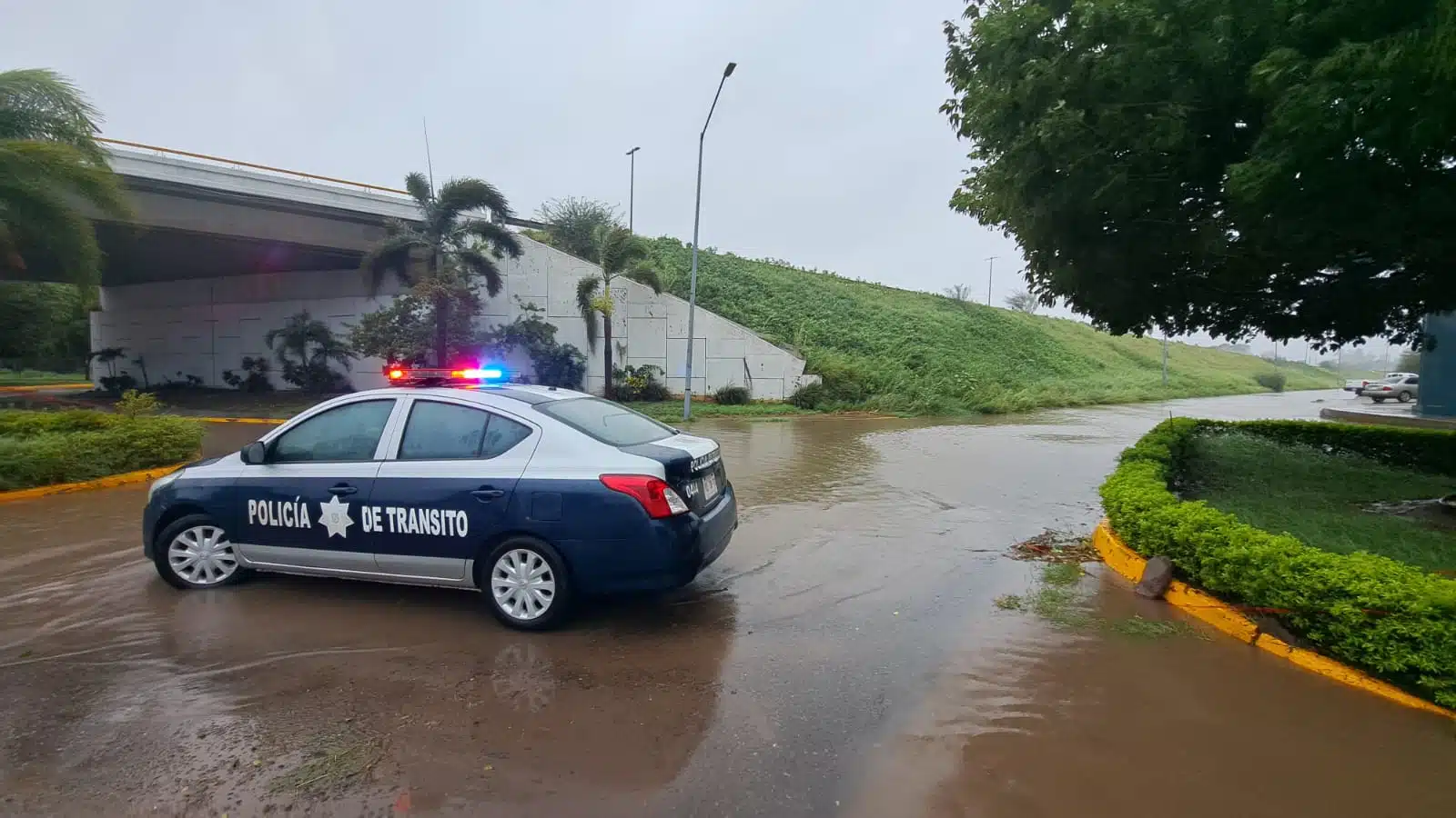 POLICÍA GUASAVE