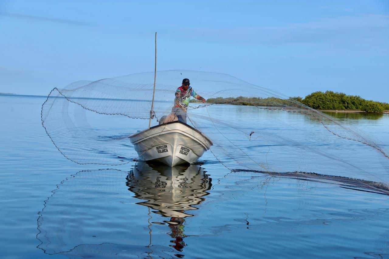 Pescadores de Navolato y Eldorado aplazan el levantamiento de la veda de camarón