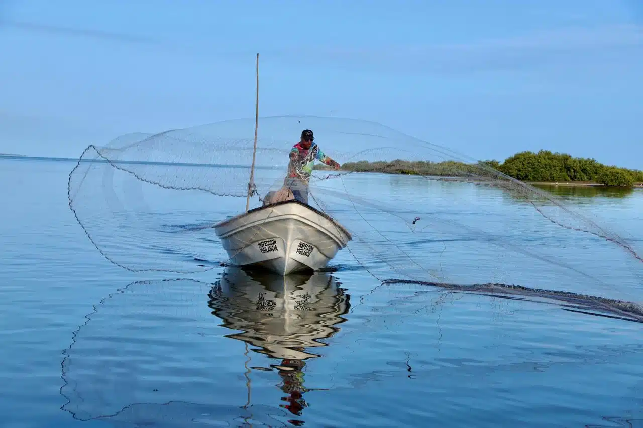 Pescadores de Navolato y Eldorado aplazan el levantamiento de la veda de camarón