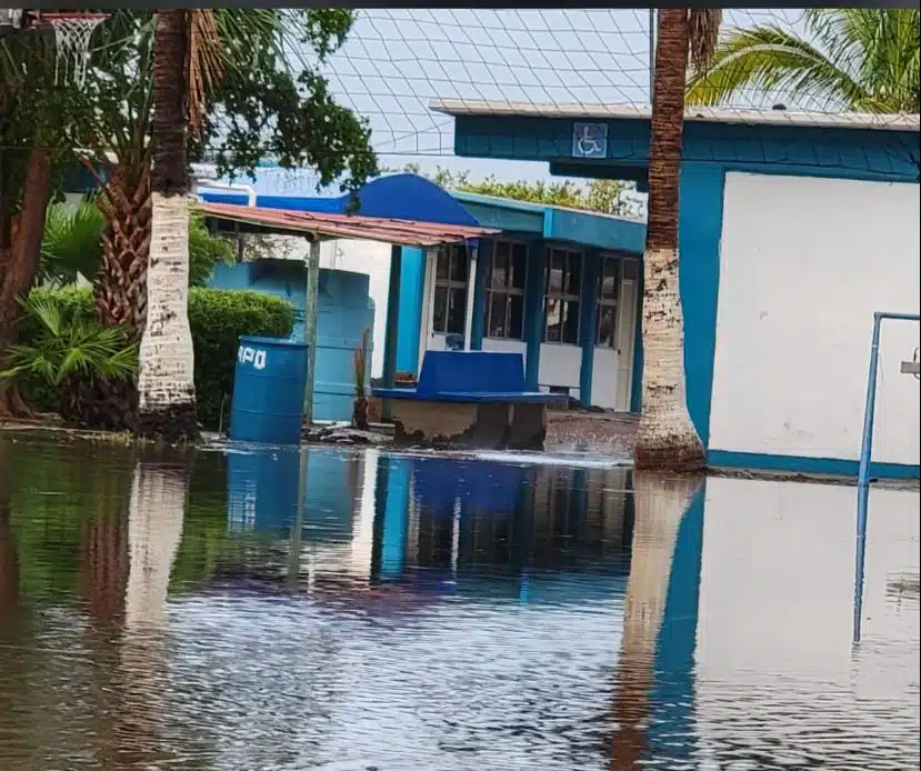 Por efectos la tormenta “Ileana” SE CANCELAN clases en Ahome, Mazatlán y Navolato