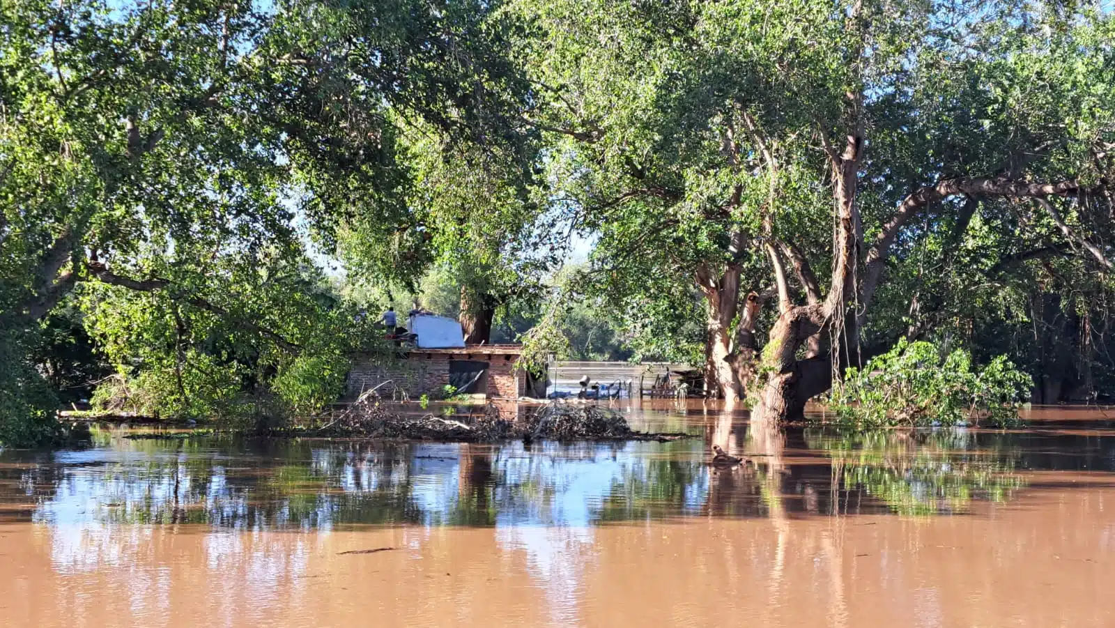 Río Sinaloa desata emergencia en Guasave