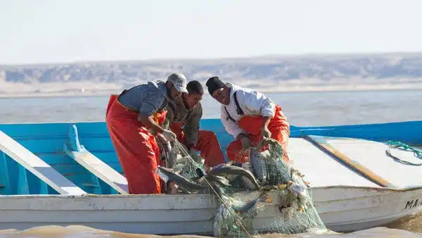 Sanciona Estados Unidos a México por pesca ilegal; un problema grave