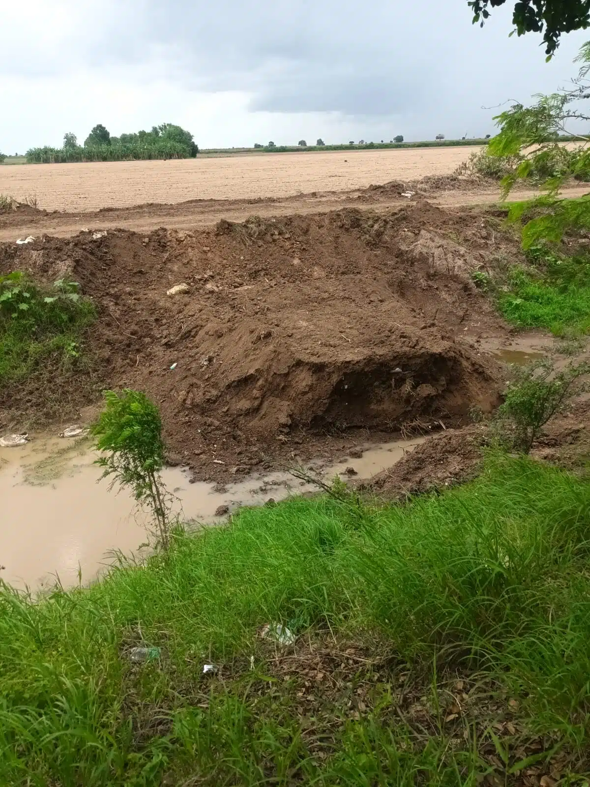 Tapón en el sistema de desagüe natural que hay hacia el dren en la sindicatura de Nío.