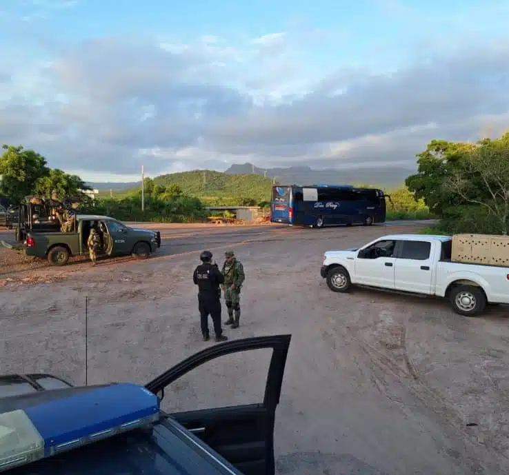 Elementos de seguridad durante los preparativos para trasladar a la tigresa de Elota hacia Culiacán.