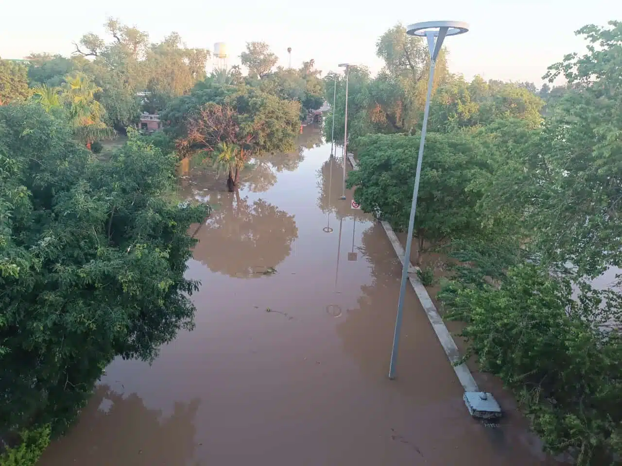 Guasave tras el paso de la tormenta Ileana