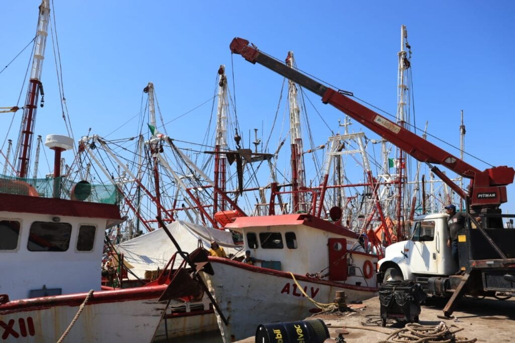 300 embarcaciones camaroneras se quedan en muelle por falta de apoyos en Mazatlán