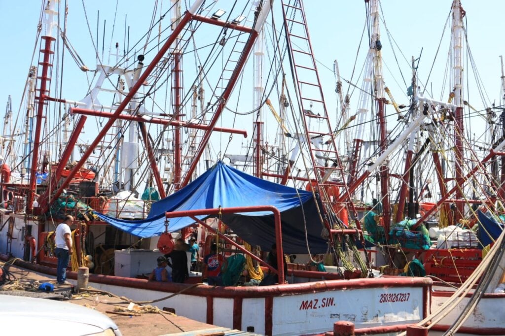 300 embarcaciones camaroneras se quedan en muelle por falta de apoyos en Mazatlán