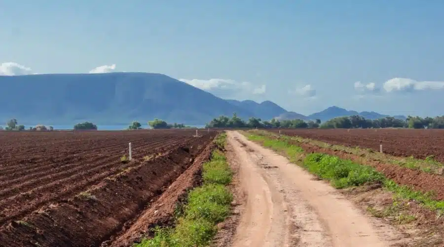 Agricultores no se acabarán el agua en las siembras, garantizarán el consumo humano