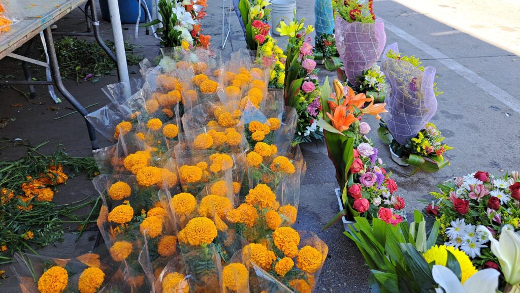 Aumenta 20 pesos la docena de flores para el Día de Muertos en Salvador Alvarado