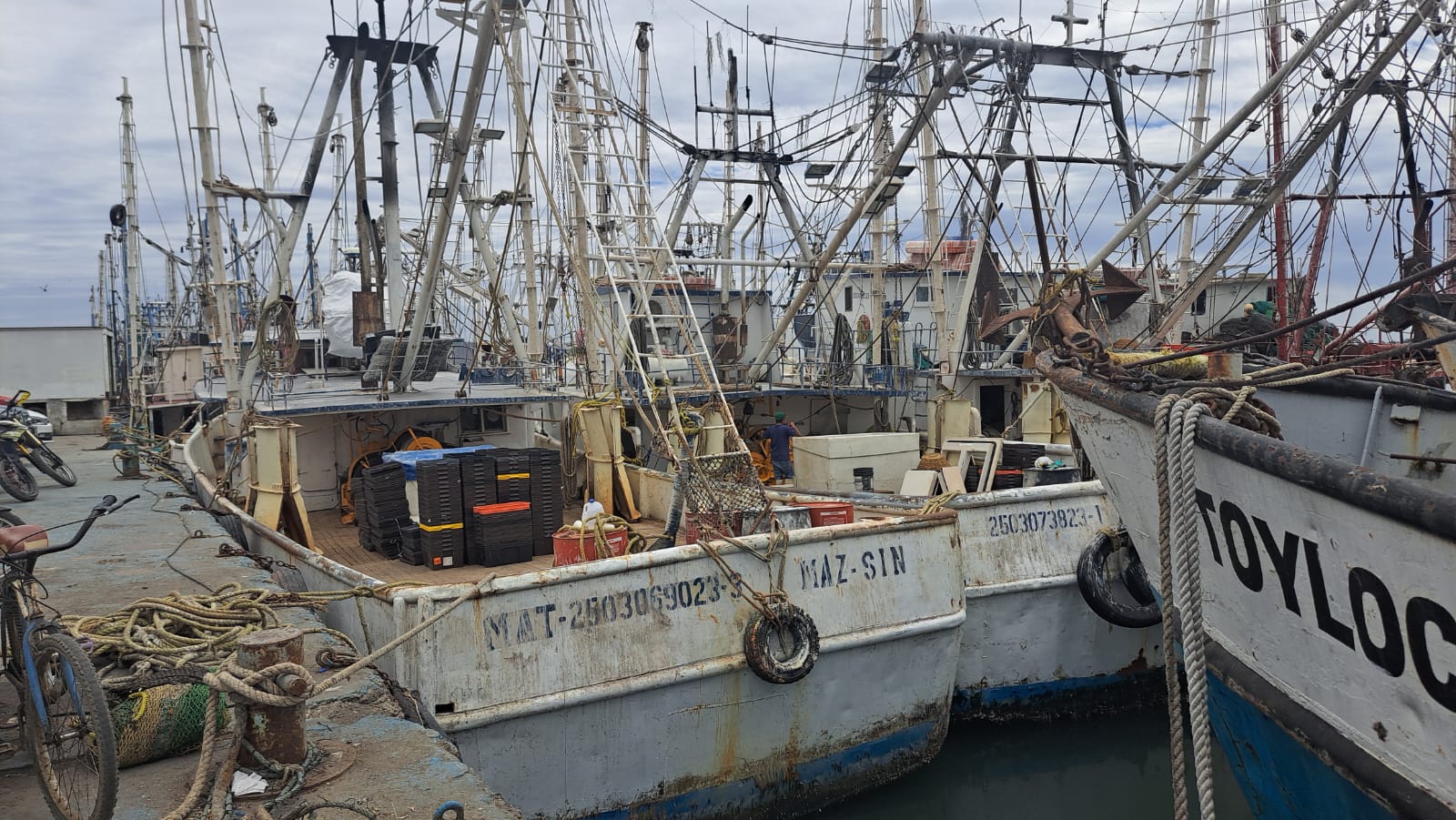 Barcos camaroneros en bahía antes de partir hacia altamar