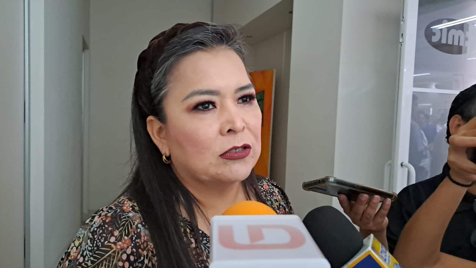 Diputada Federal por Morena, Ana Ayala.