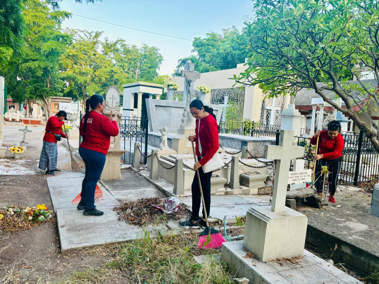 En Salvador Alvarado preparan los panteones para Día de Muertos_6