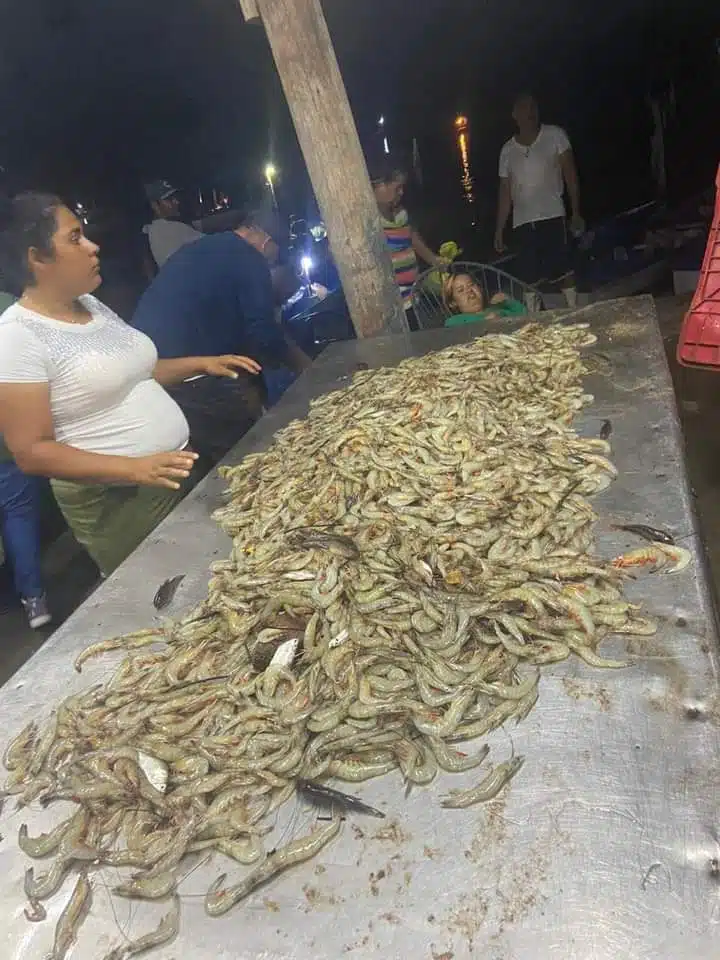 Mujer limpiadora de camarón.